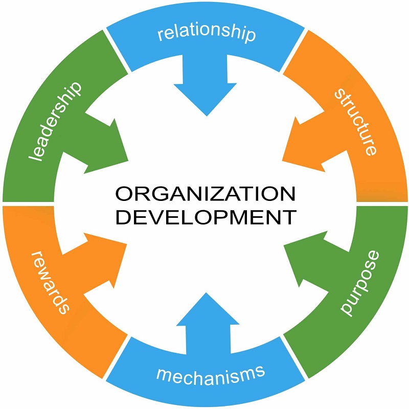 The Future of Organizational Development: Top 10 Trends and Predictions for the Next Decade. Training and Workshops Available at Datastat Research.