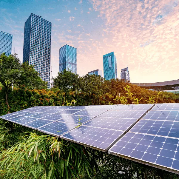 Renewable Energy