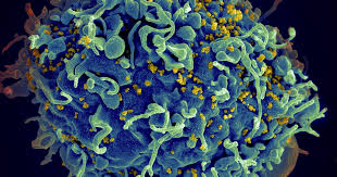 Training course on Climate Change and Infectious Disease Emergence