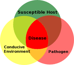 Training course on Disease Modeling and Forecasting
